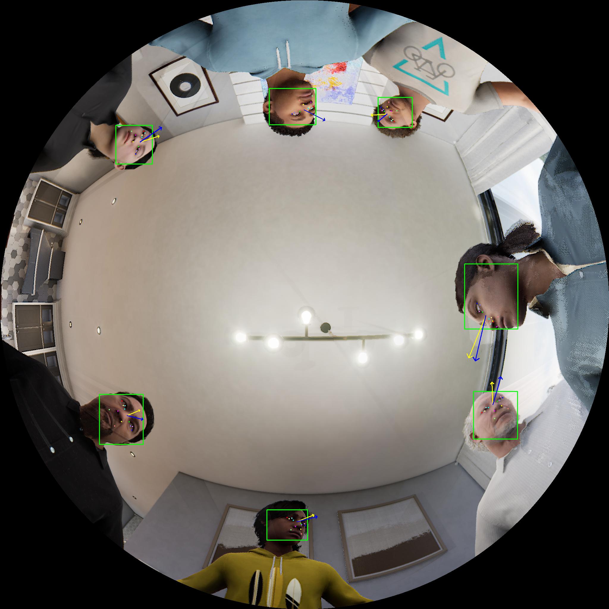 Dataset Image 1