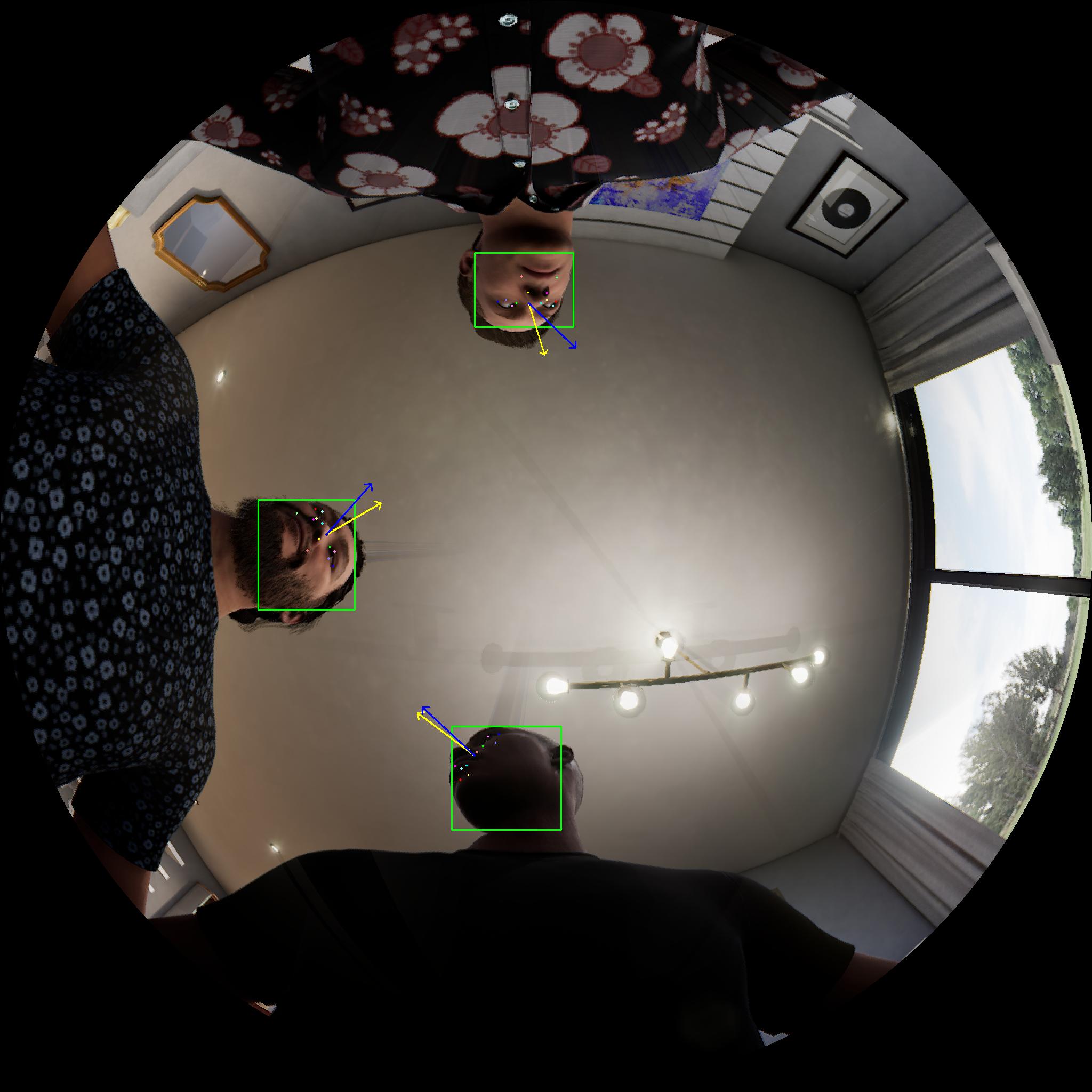 Dataset Image 2