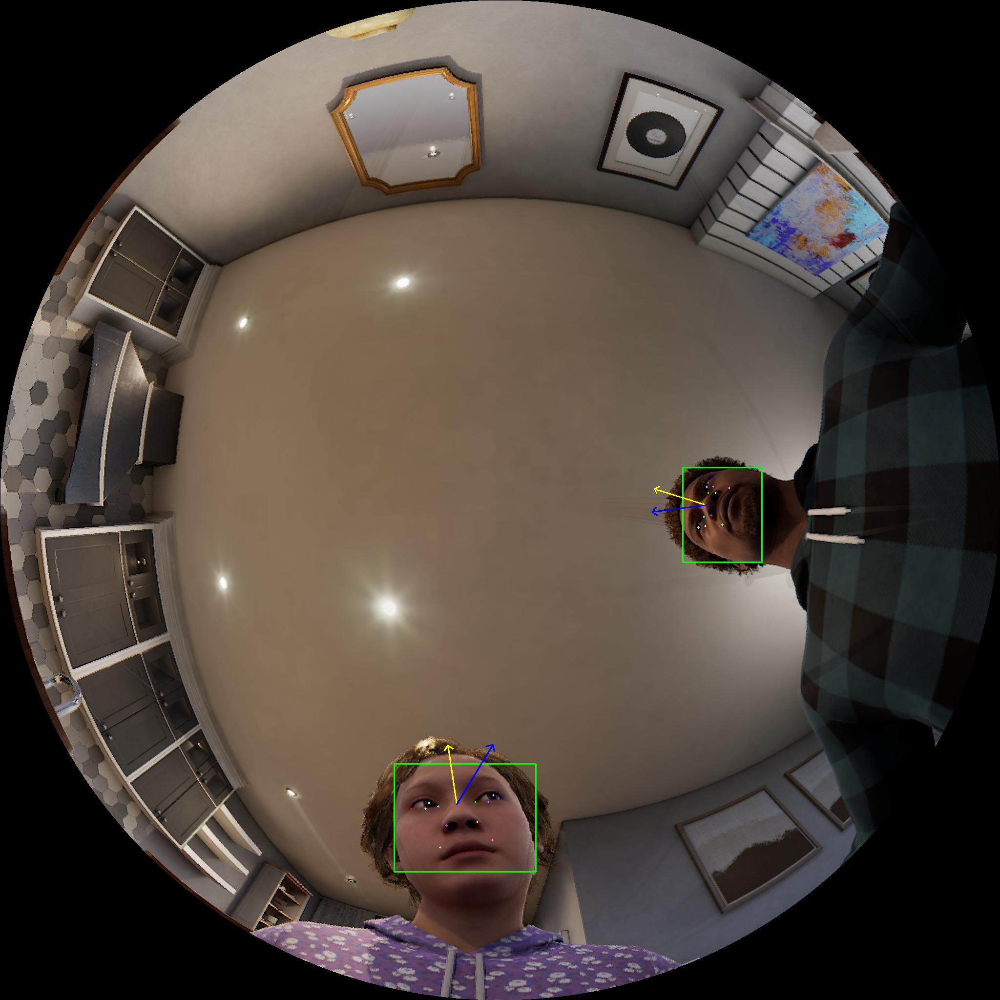 Dataset Image 3