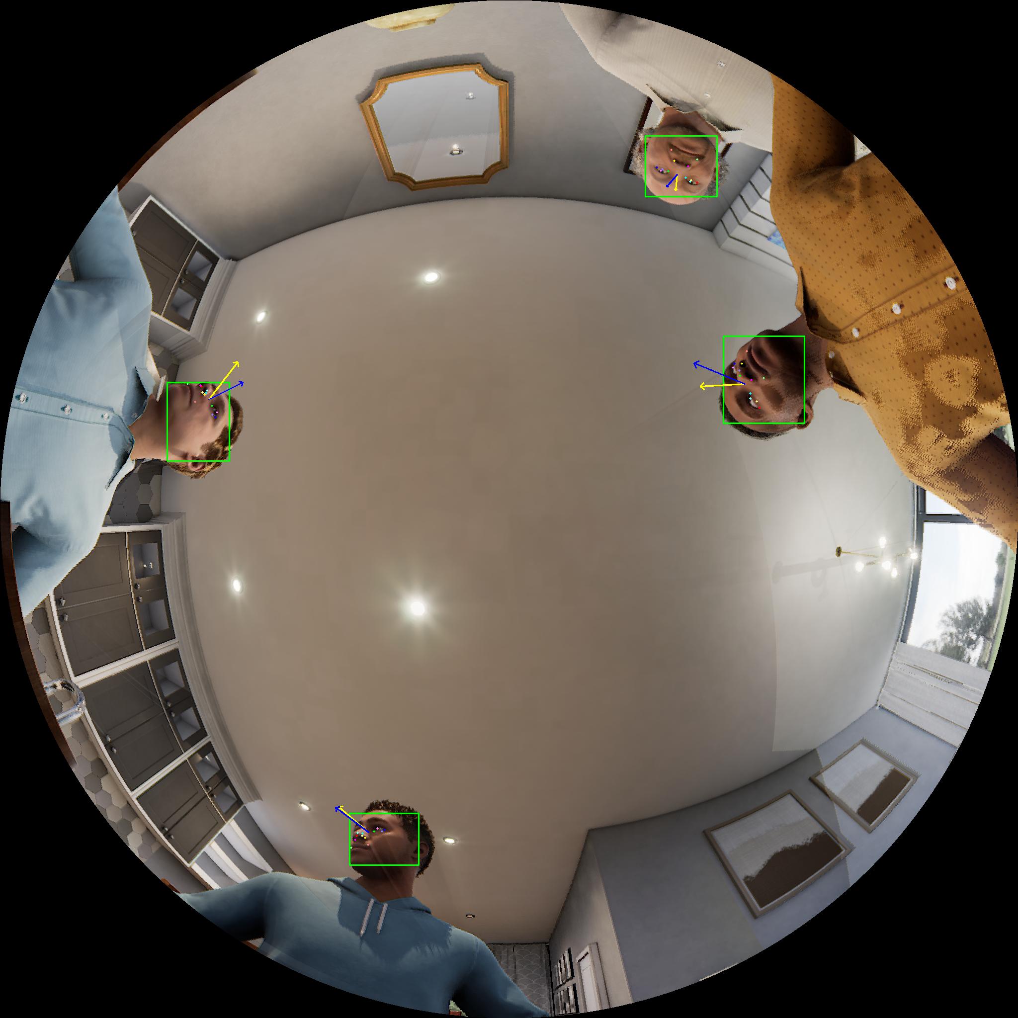 Dataset Image 4