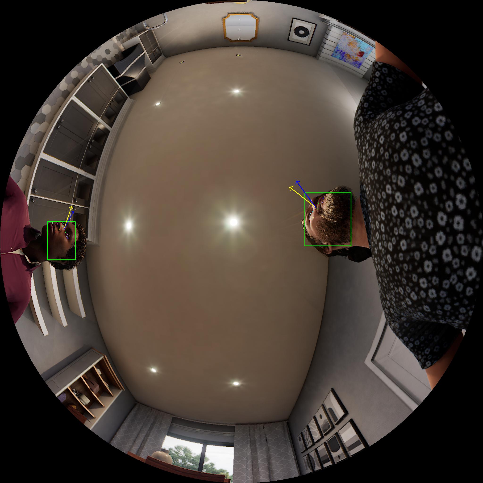 Dataset Image 5